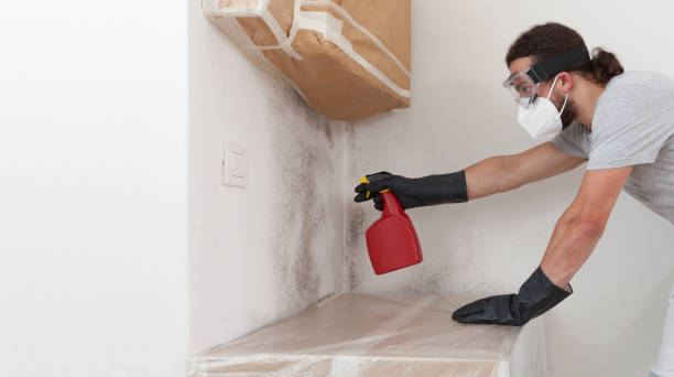 Professional Attic Mold Remediation technician working in Hampstead, MD