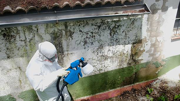 Top rated local Attic Mold Remediation specialists in Hampstead, MD
